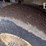etnyre-quad-image-16