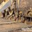 2016-caterpillar-d6n-image-19