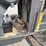 massey-ferguson-2260-image-39
