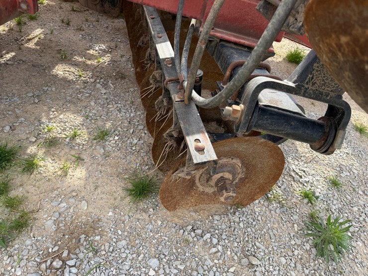 sunflower-1434-image-63