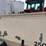 #46876-•-ingersoll-rand-mobile-air-compressor-image-26