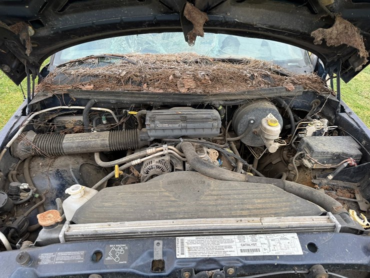 2000-dodge-1500-image-29