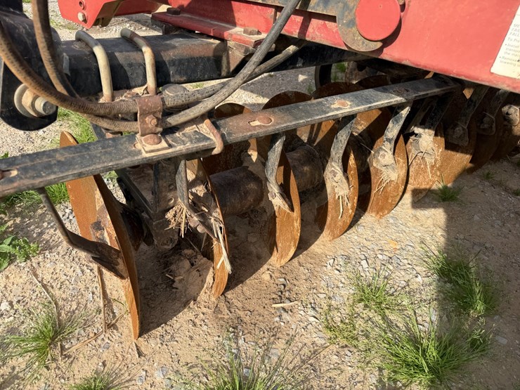 sunflower-1434-image-35