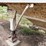 #46889-•-1981-40'-hawkeye-eagle-e4000-t/a-steel-hopper-bottom-trailer-vin:-1bjsh4027b1001115-image-27