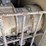 #46876-•-ingersoll-rand-mobile-air-compressor-image-45