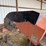 #46892-•-batco-ps2500-25'-driver-over-conveyor-image-36