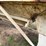 #46889-•-1981-40'-hawkeye-eagle-e4000-t/a-steel-hopper-bottom-trailer-vin:-1bjsh4027b1001115-image-40