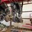 case-ih-4025a3ps-image-96