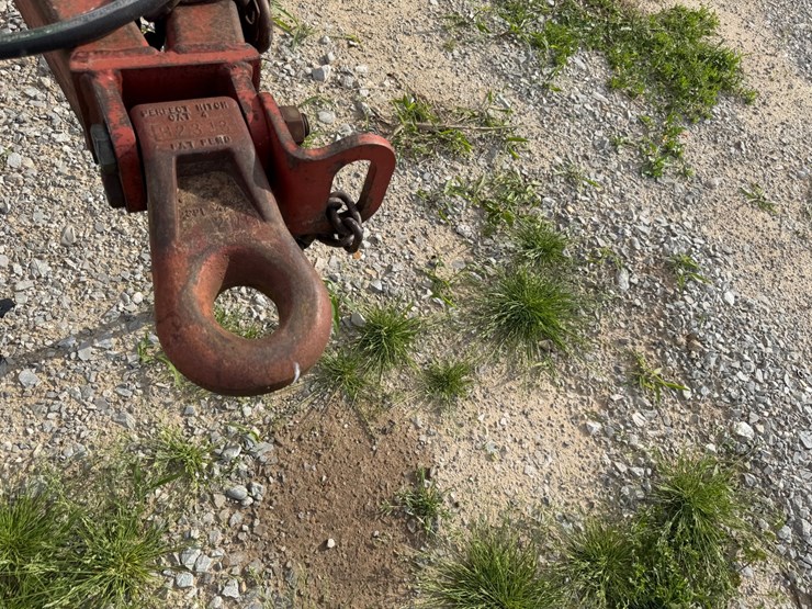 sunflower-1434-image-51