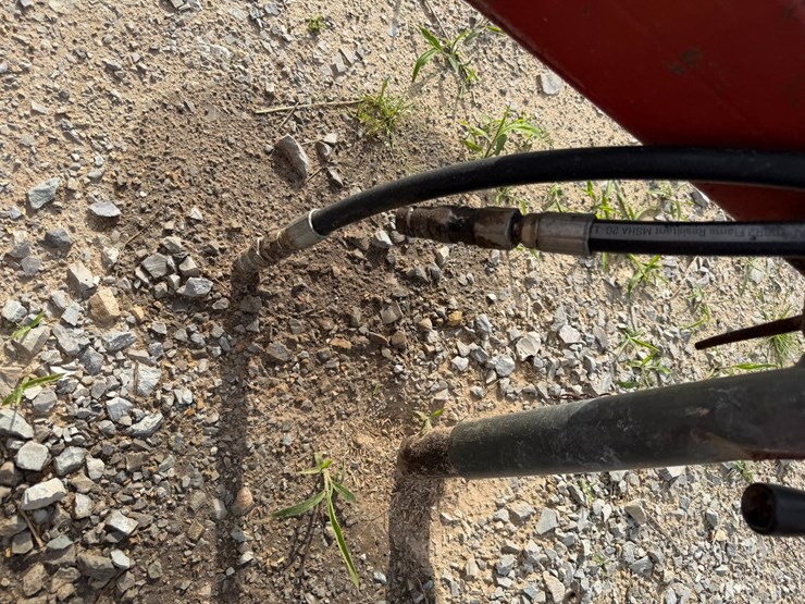 sunflower-1434-image-54