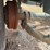 #46861-•-s/a-u.s-military-generator-trailer-image-13
