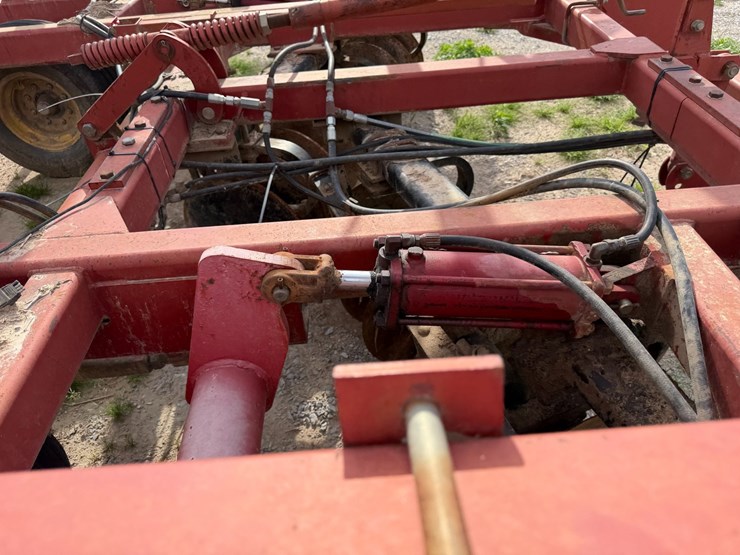 sunflower-1434-image-65