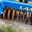 landoll-7431-29-image-91