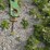 john-deere-225-image-26
