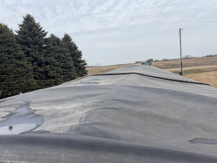 2015-wilson-dwh-image-9