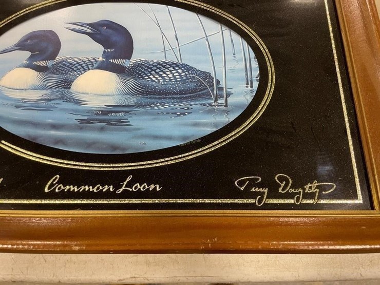 pabst-blue-ribbon-common-loon-picture-image-3