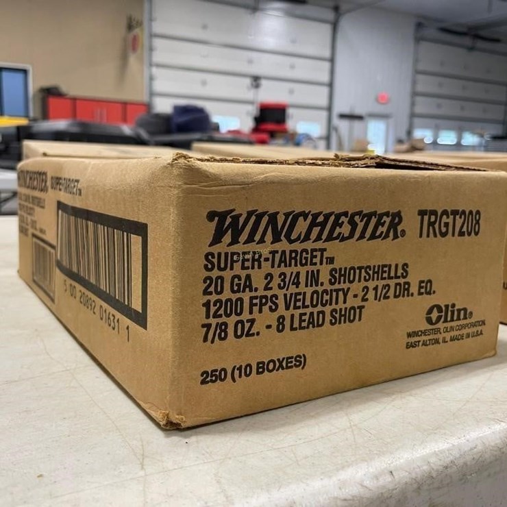 250 Rounds Winchester 20ga Ammo