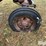 international-m-image-18
