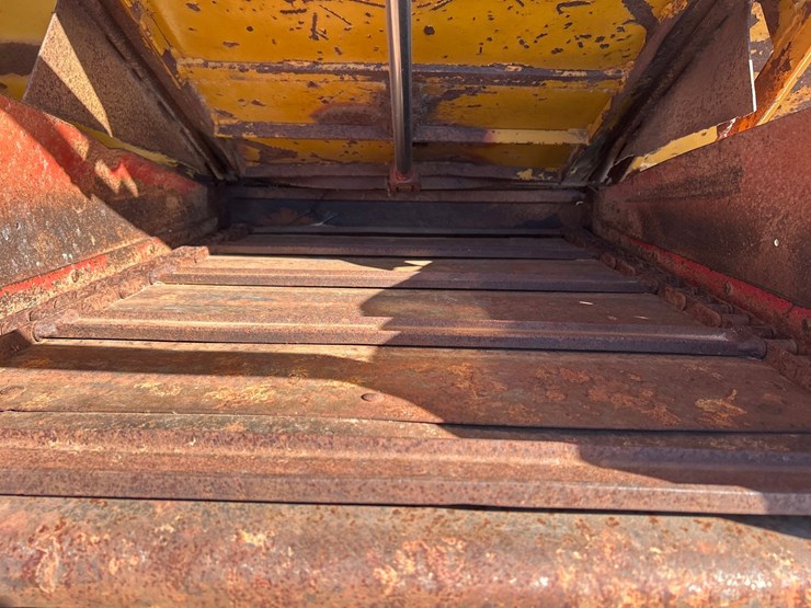 knight-big-auggie-14-image-22