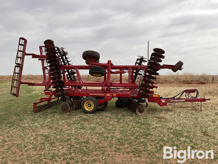 sunflower-6631-24-image-4