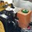 2019-wacker-neuson-rtlx-sc3-image-25