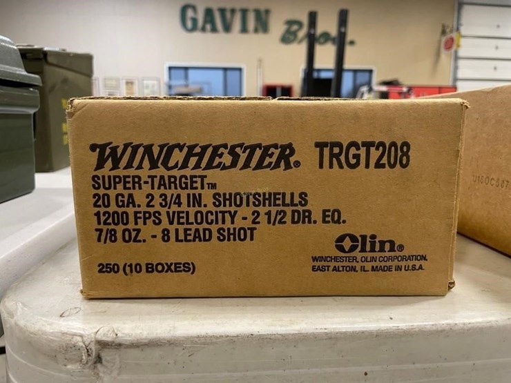 250-rounds-winchester-20ga-ammo-image-2