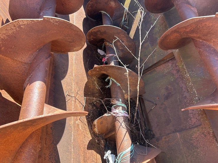 knight-big-auggie-14-image-36