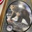 hamm's-beer-1993-brown-bear-mirror-image-3