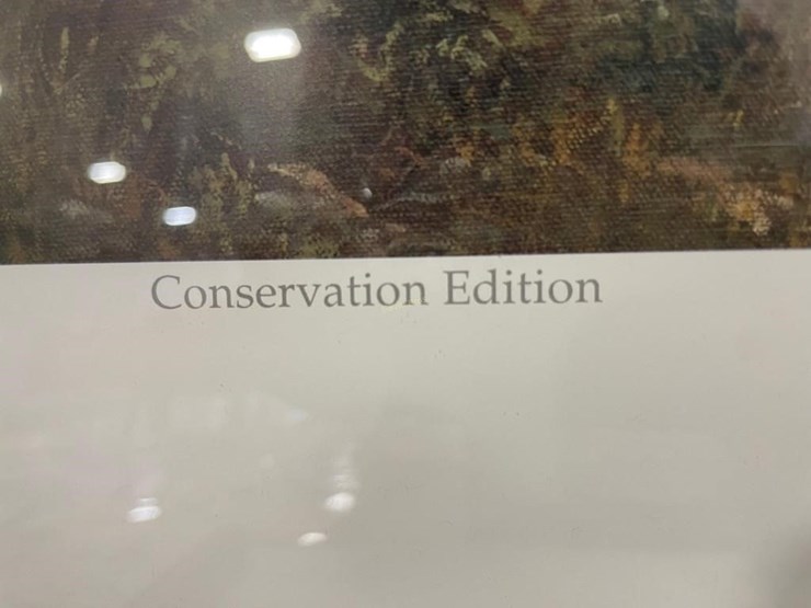 derk-"call-of-the-wild"-elk-picture-image-5