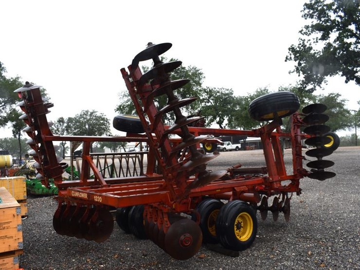 sunflower-1230-image-6