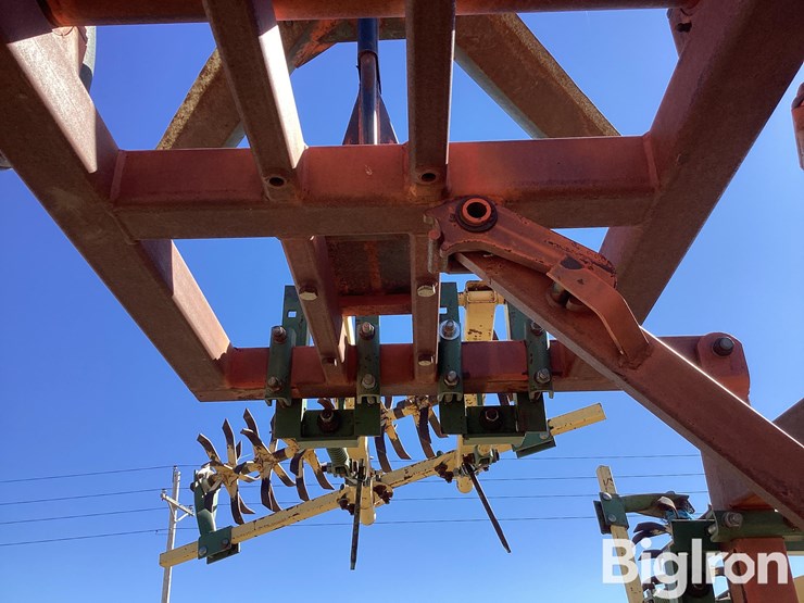 sunflower-3670-35-image-15