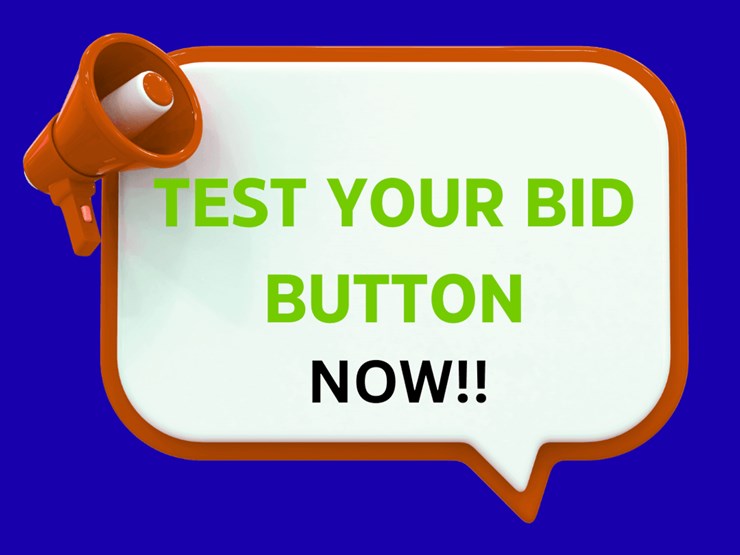 #3-•-test-your-bid-button-now!-image-1