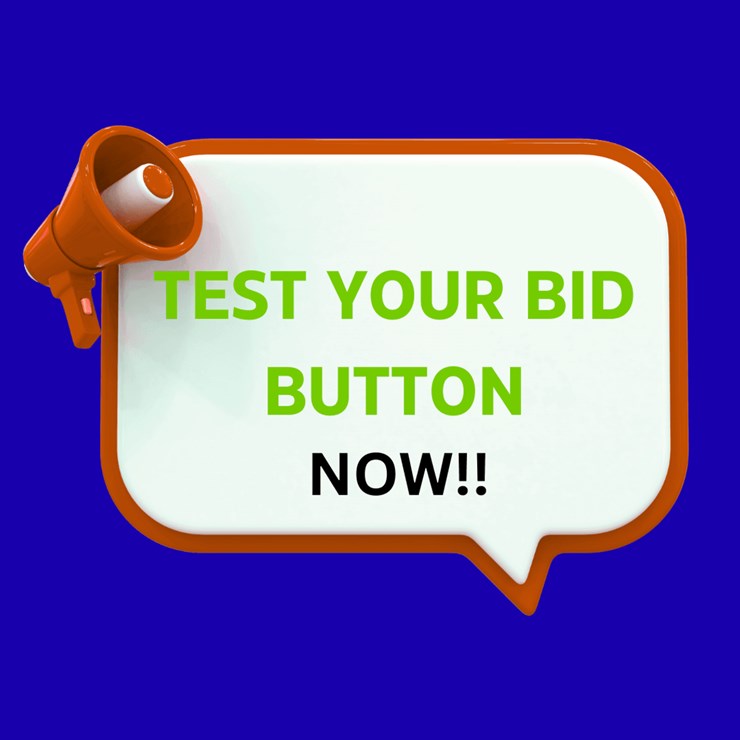 #3 • TEST YOUR BID BUTTON NOW!