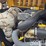 2017-jcb-510-56-image-50