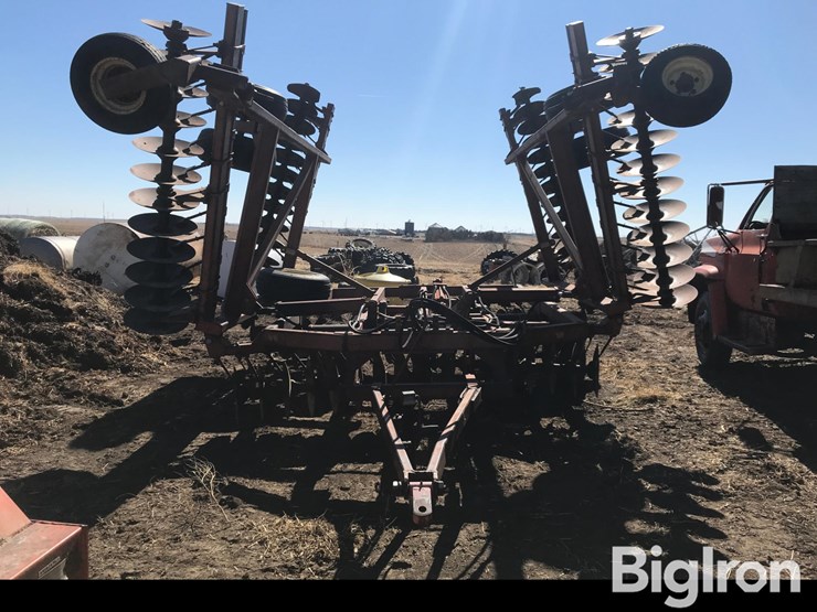 sunflower-1230-image-2