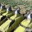 john-deere-1720-image-12