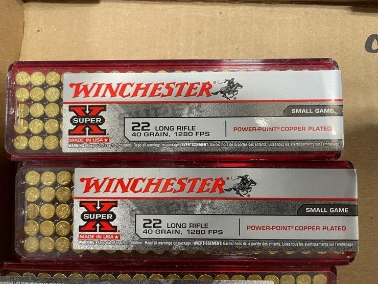 550-+/--rounds-22lr-ammo-image-4