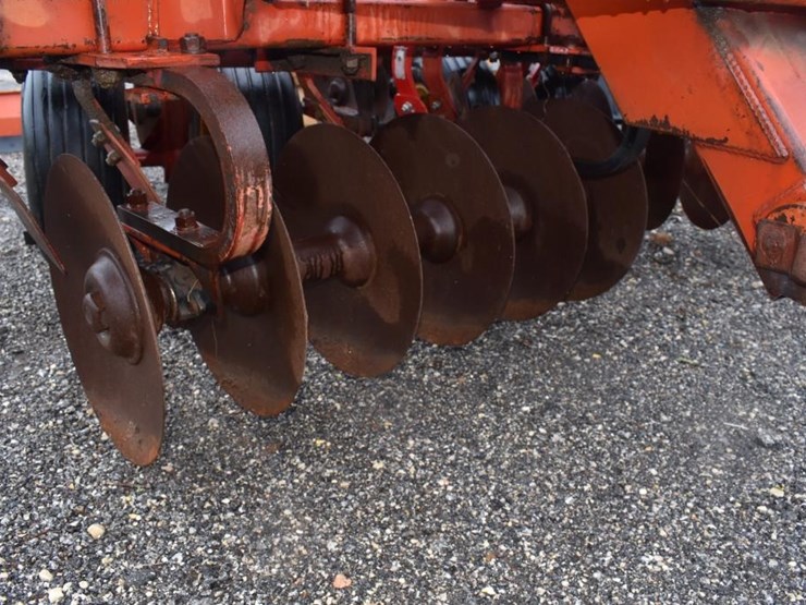 sunflower-1230-image-3