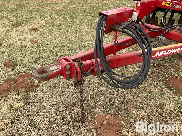 sunflower-6631-24-image-9