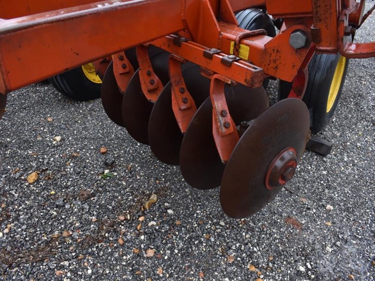 sunflower-1230-image-9