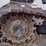 2019-bobcat-t770-image-30