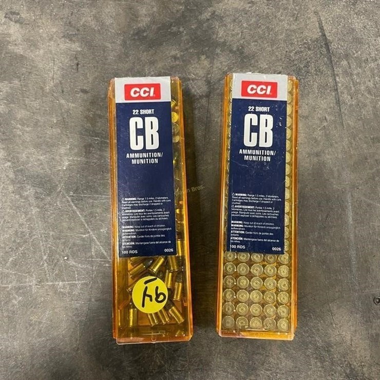 150 +/- Rounds CCI 22 Short Ammo