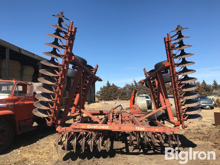 sunflower-1230-image-5