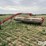 1982-hesston-1014-image-1