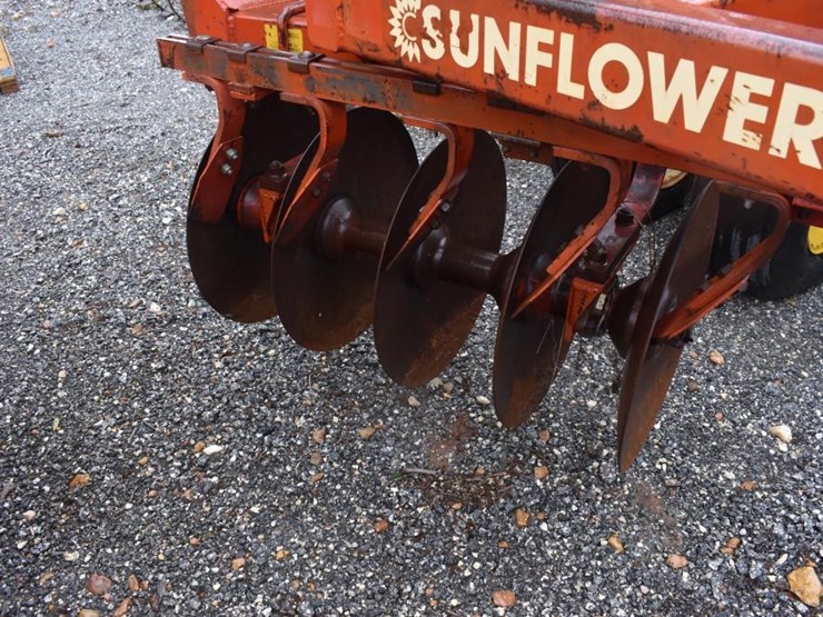 sunflower-1230-image-10