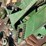 john-deere-1770nt-image-12