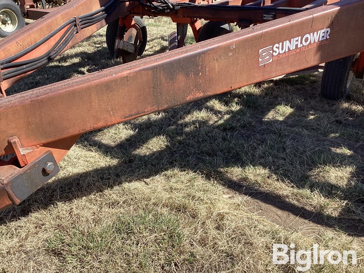 sunflower-3670-35-image-9