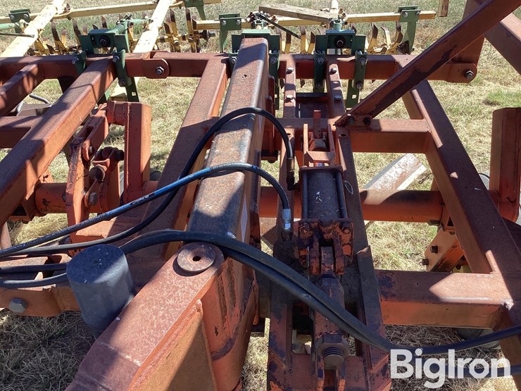 sunflower-3670-35-image-13