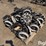 john-deere-1770nt-image-5