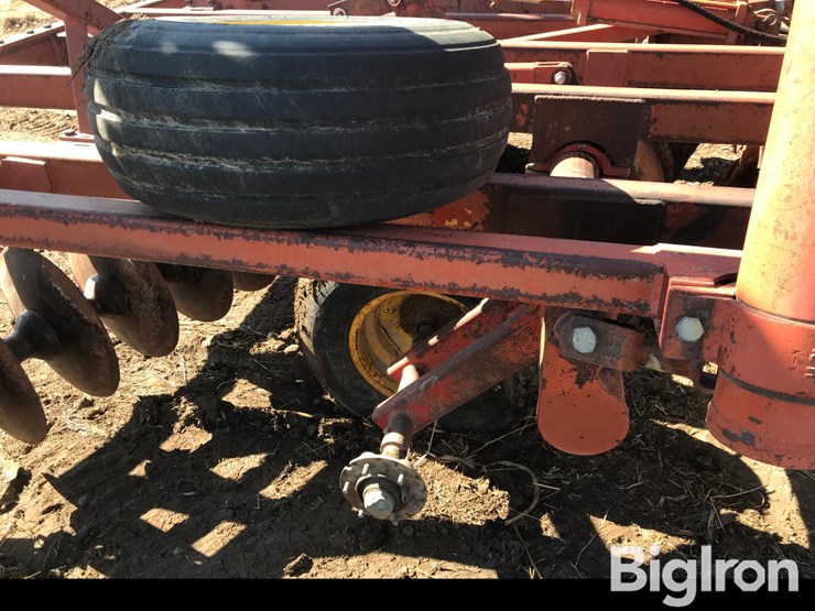 sunflower-1230-image-8